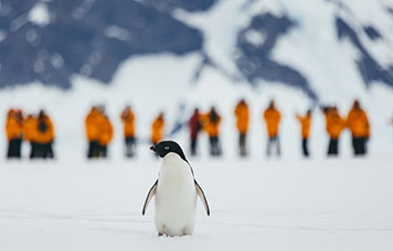 Pacote de Viagem para Antártida Desbravando o 7º Continente!