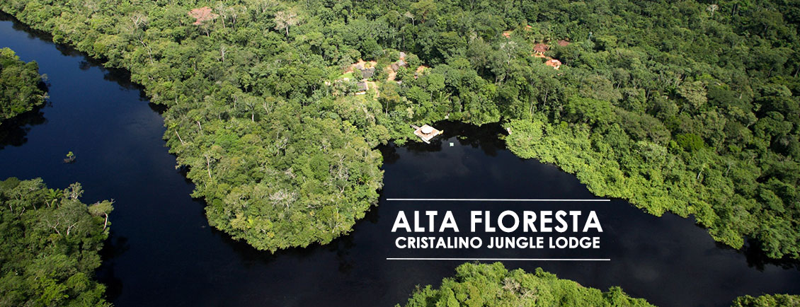 Pacotes de Viagem para Alta Floresta - Sul da Amazônia - Cristalino Jungle Lodge