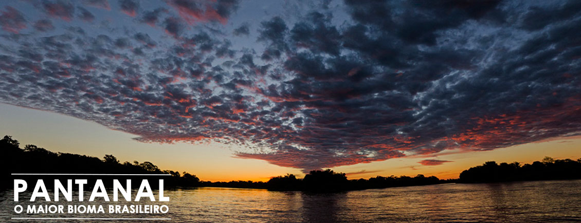 Pacotes de Viagem para PANTANAL o maior bioma brasileiro