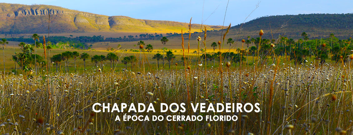 Pacotes de Viagem para 