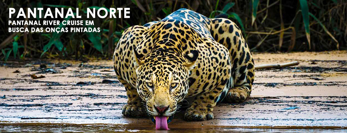 Pacotes de Viagem para 