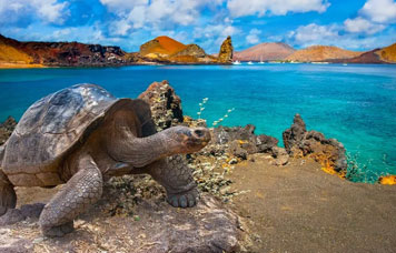 Pacote de Viagem para Equador Quito e Galápagos Saída Privativa