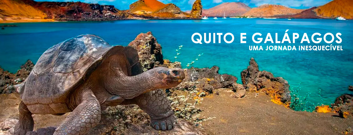 Pacotes de Viagem para 