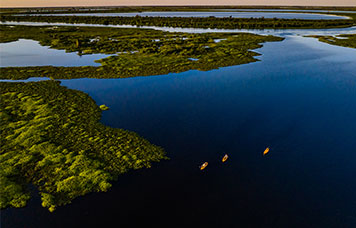 Pacote de Viagem para Pantanal com Flávia Vieira