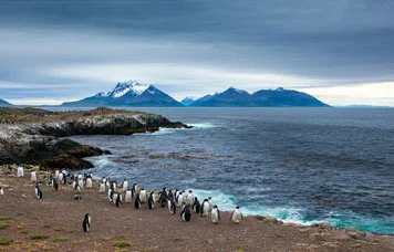 Pacote de Viagem para Península Valdés Saídas em Grupo Pacote de Viagem para Península Valdés Saídas em Grupo