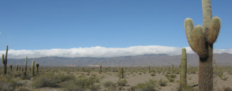 Pacote-de-Viagem-para-Argentina-Salta-e-Jujuy-04.jpg