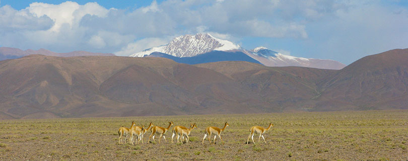 Pacote-de-Viagem-para-Argentina-Salta-e-Jujuy-05.jpg