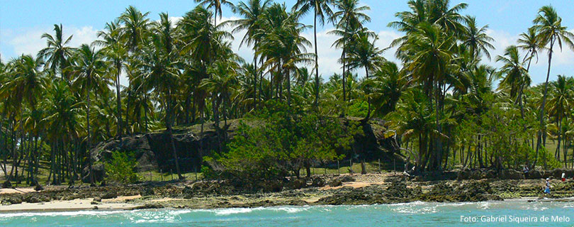 Pacote-de-Viagem-para-Bahia-Ilha-de-Boipeba-03.jpg