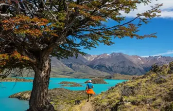 Patagônia: guia completo para planejar uma viagem aos confins do mundo Patagônia: guia completo para planejar uma viagem aos confins do mundo