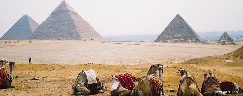 Pacote-de-Viagem-para-Egito-Pradeep-Gopal-01.jpg