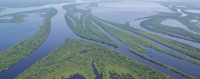 Pacote-de-Viagem-para-Manaus-Amazônia-Anavilhanas-Lodge-03.jpg