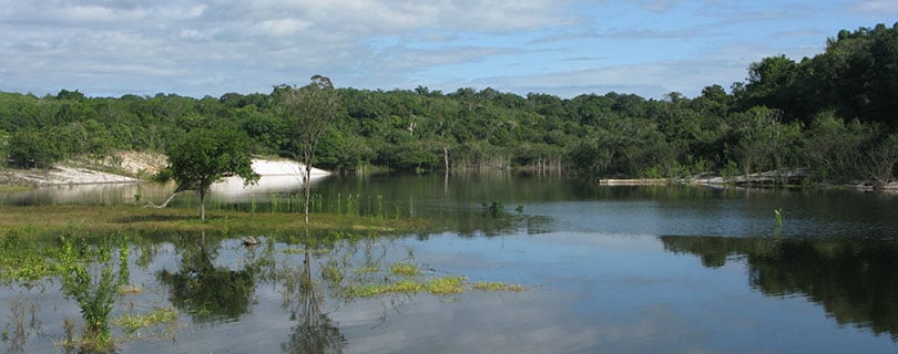 Pacote-de-Viagem-para-Manaus-Amazônia-Rio-Tarumã.jpg