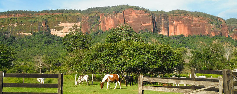 Pacote-de-Viagem-para-Mato-Grosso-Serra-do-Roncador-02.jpg