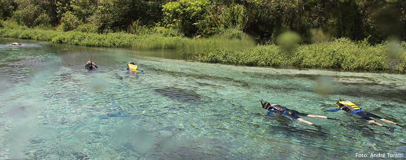 Pacote-de-Viagem-para-Mato-Grosso-do-Sul-Bonito-Flutuação-Rio-Sucuri-02.jpg