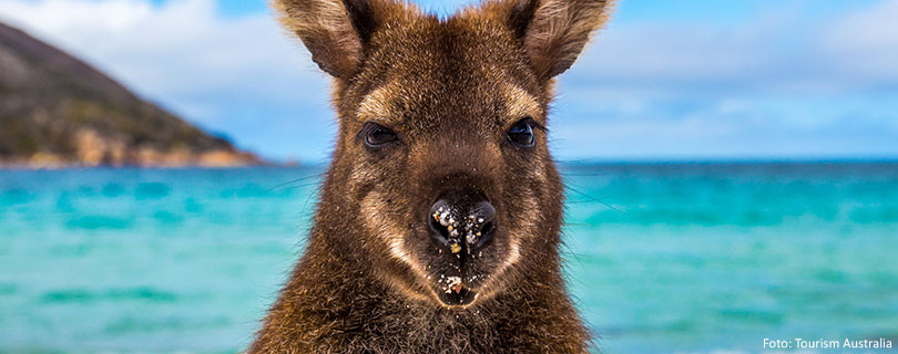 Pacote-de-Viagem-para-Oceânia-Austrália-Wineglass-Bay-Beach.jpg