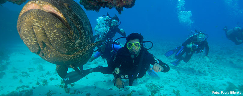 Pacote-de-Viagem-para-Pernambuco-Fernando-de-Noronha-Mergulho-Autonomo.jpg