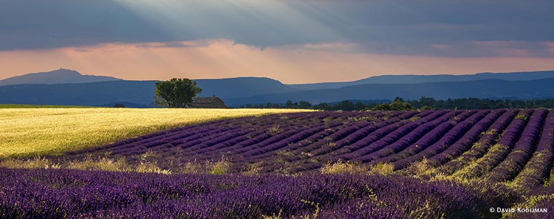 Pacote-de-Viagem-para-Provence-David-Kooijman-02.jpg