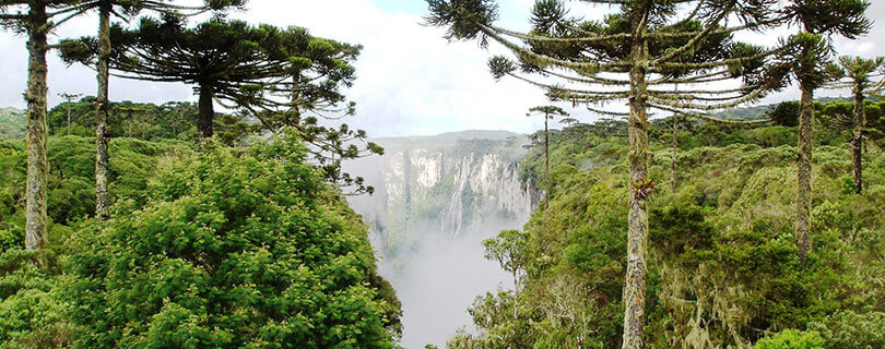 Pacote-de-Viagem-para-Rio-Grande-do-Sul-Aparados-da-Serra-Cânion-Itaimbezinho-03.jpg