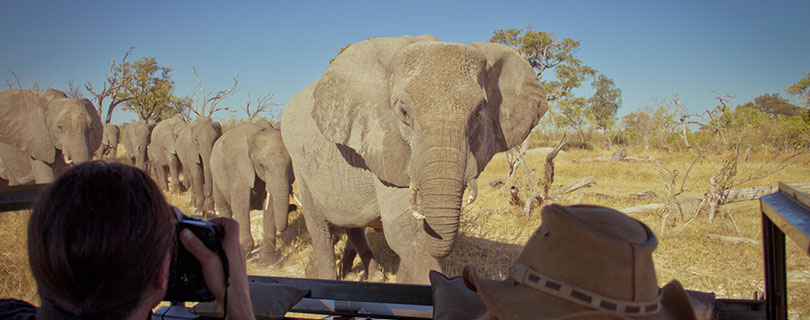 Pacote-de-Viagem-para-África-Botswana-01.jpg