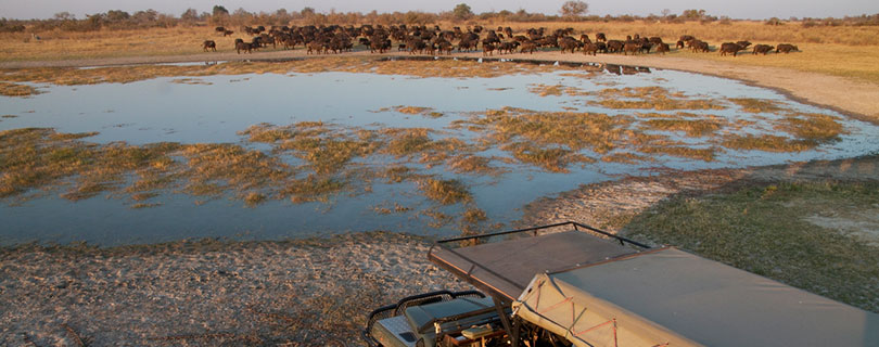 Pacote-de-Viagem-para-África-Botswana-02.jpg