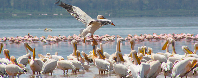 Pacote-de-Viagem-para-África-Botswana-04.jpg