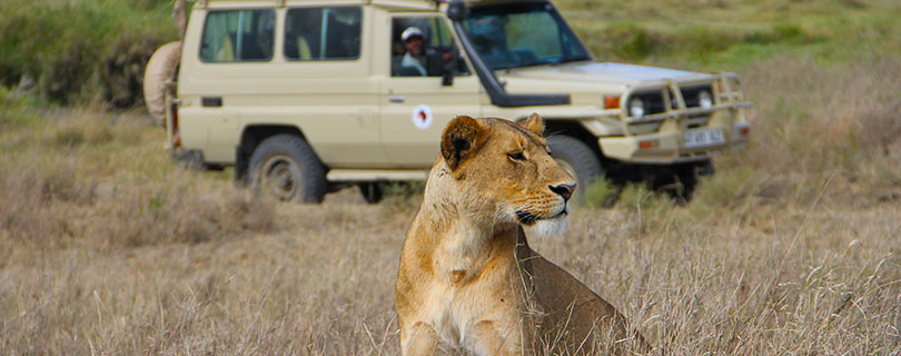 Pacote-de-Viagem-para-África-Kenya-e-Tanzânia-04.jpg