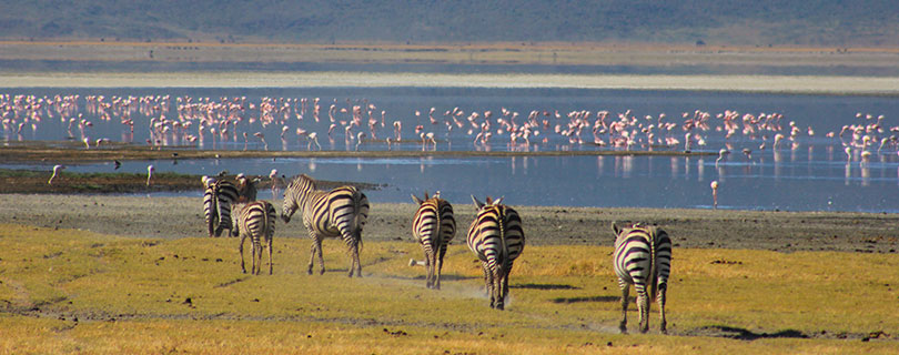 Pacote-de-Viagem-para-África-Tanzânia-04.jpg